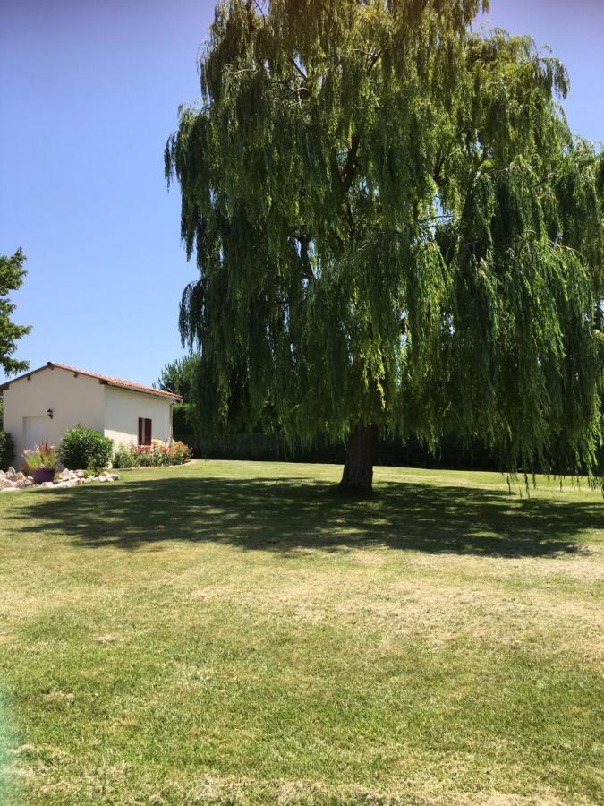 Domaine De La Vigne Bed & Breakfast Cadalen Exterior photo