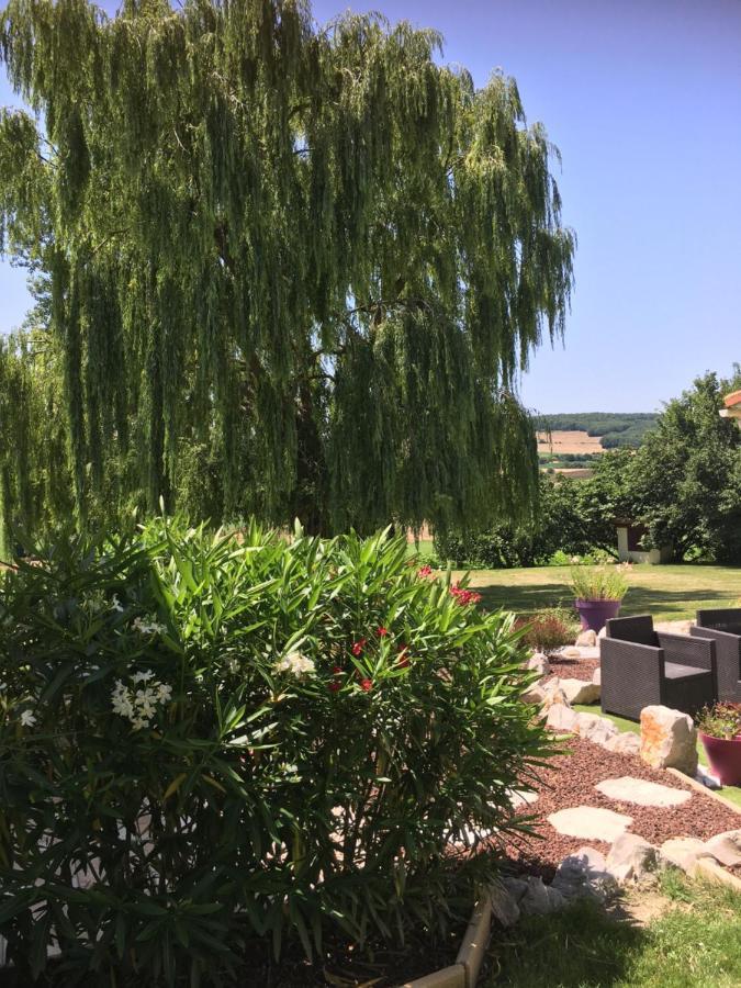 Domaine De La Vigne Bed & Breakfast Cadalen Exterior photo