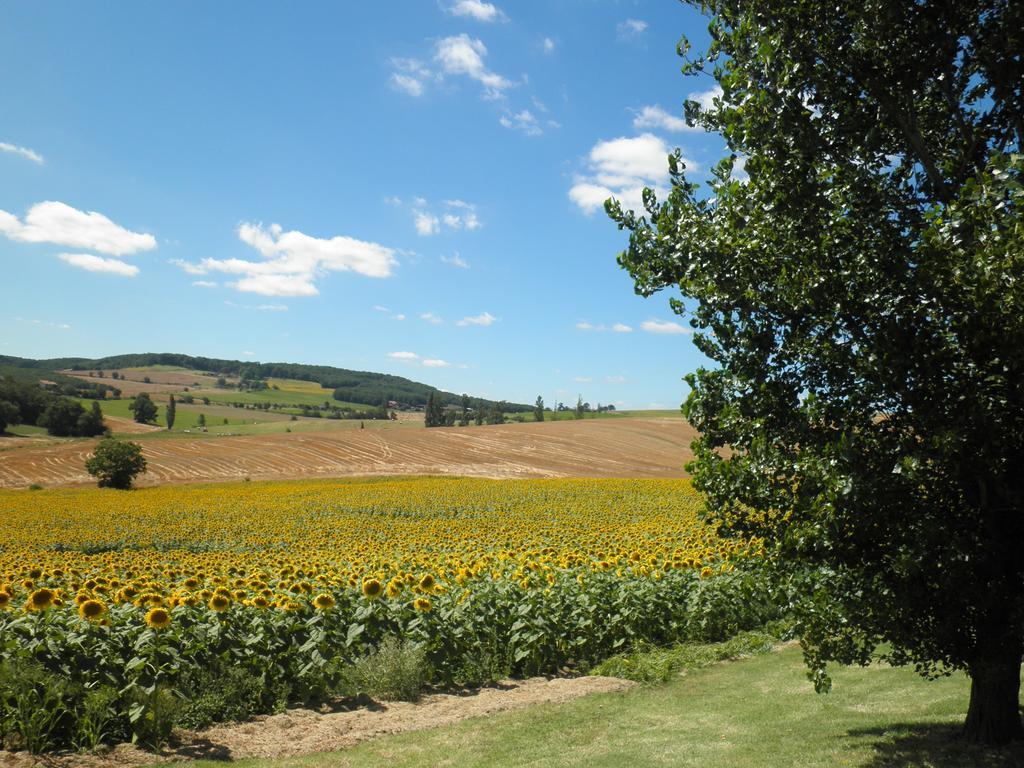 Domaine De La Vigne Bed & Breakfast Cadalen Exterior photo